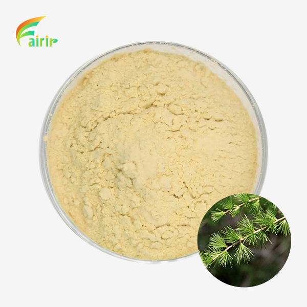 Taxifolin Dihydroquercetin